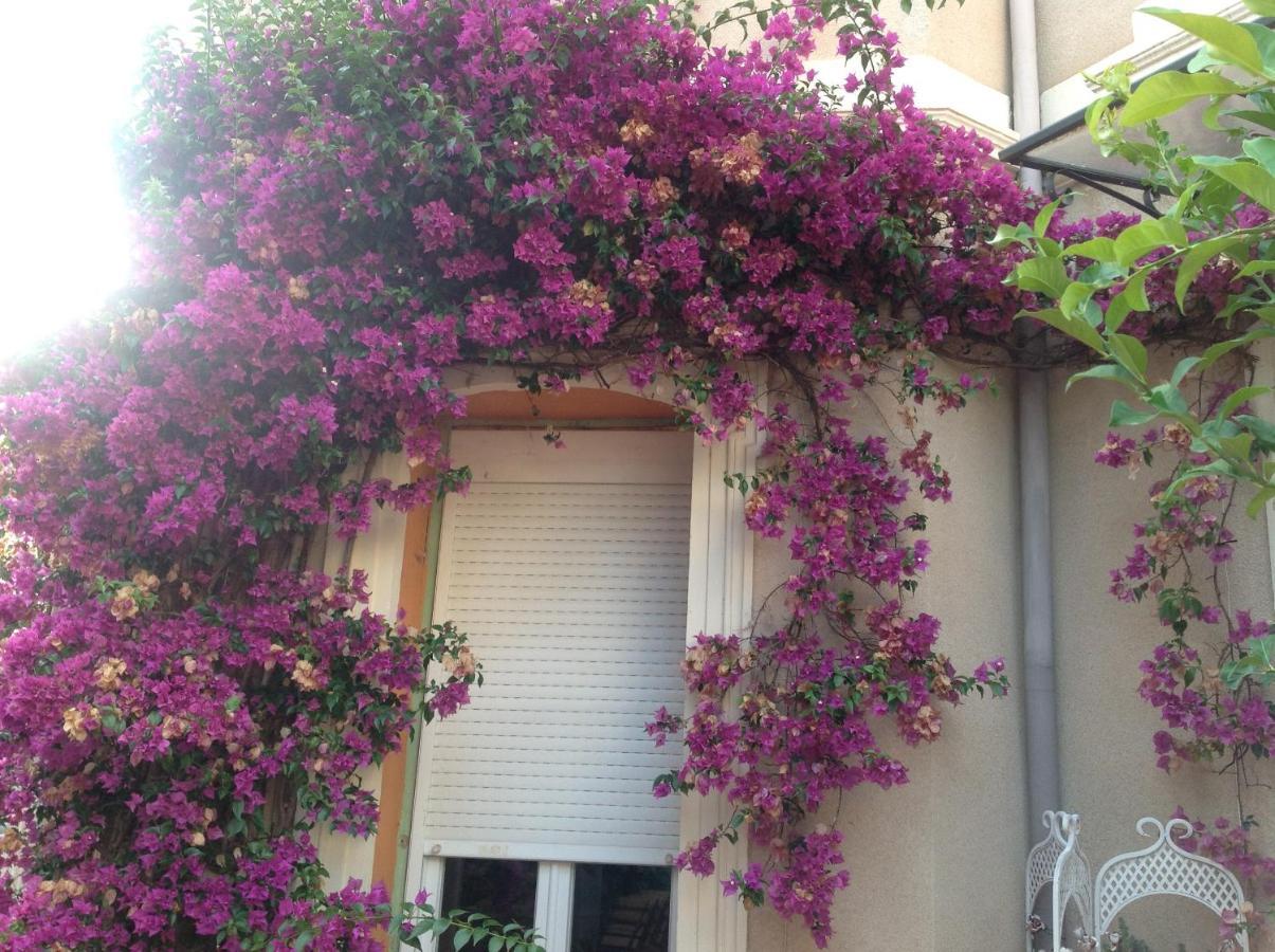 A L'Ombre Du Cedre Ξενοδοχείο Ιέρ Εξωτερικό φωτογραφία