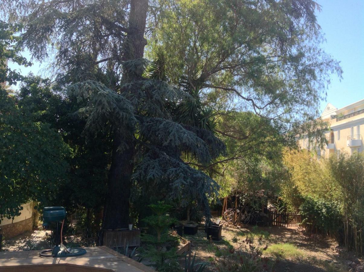 A L'Ombre Du Cedre Ξενοδοχείο Ιέρ Εξωτερικό φωτογραφία
